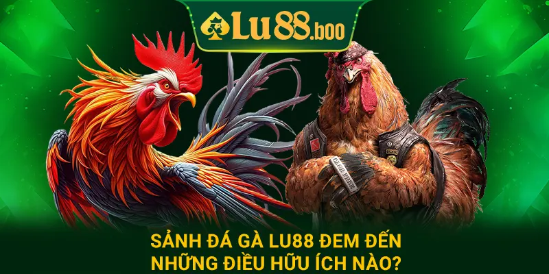 Sảnh đá gà lu88 đem đến những điều hữu ích nào?