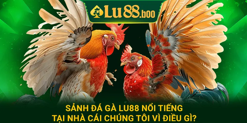 Sảnh đá gà lu88 nổi tiếng tại nhà cái chúng tôi vì điều gì?