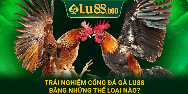 Trải nghiệm cổng đá gà lu88 bằng những thể loại nào?